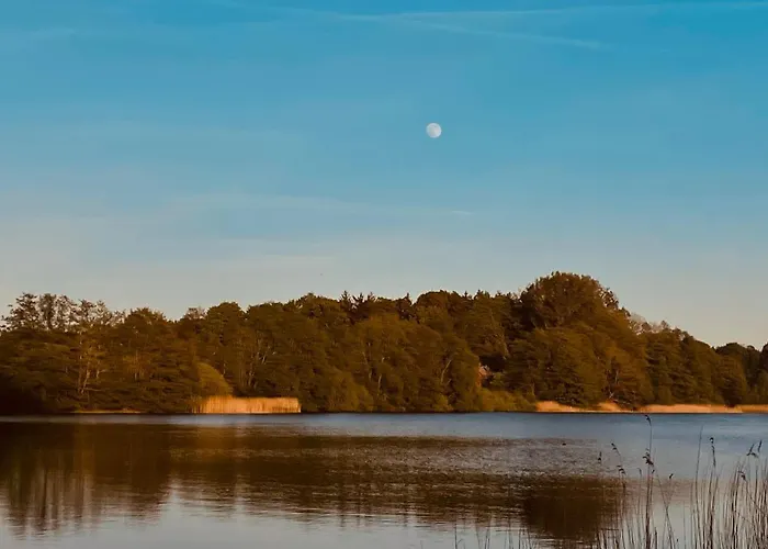 George Glamper Ahoi *